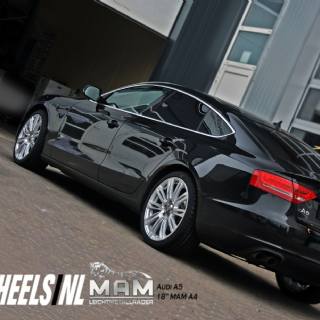 Audi MAM