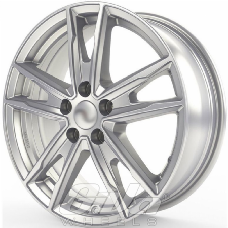 DBV Florida KF Silver