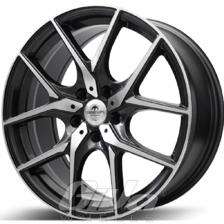Forzza Vision Gunmetal with polished face