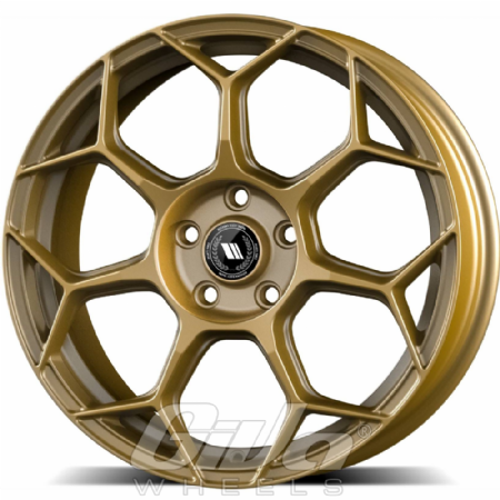 GMP Raceway Gold