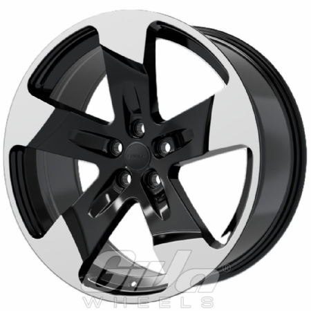 Hawke Five Tooth Black with polished face