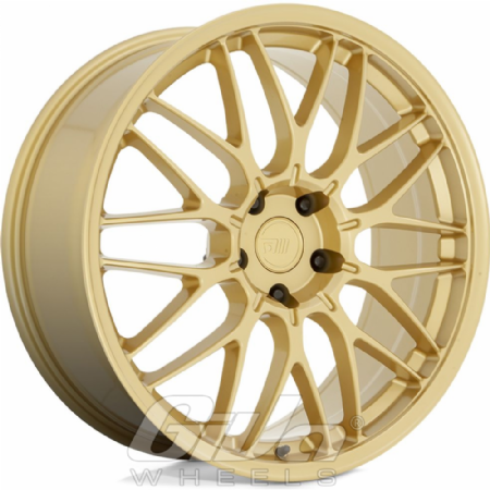 Motegi Racing CM10 Gold