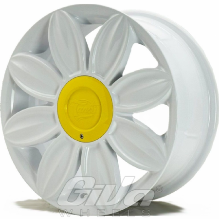 Tansy Daisy White