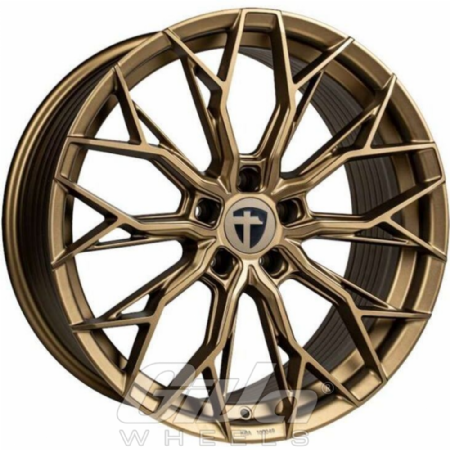 Tomason TN31 Bronze