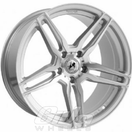 Walter Performance WP131 Silver with polished face